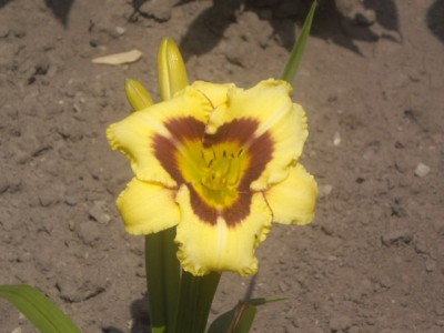 IMGP0472_Bildgröße ändern.JPG