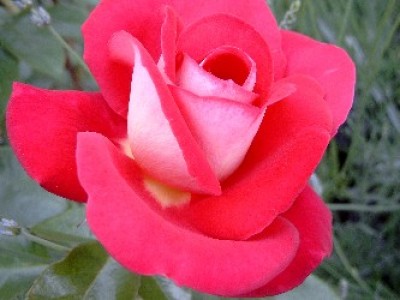 Bild3183.jpg