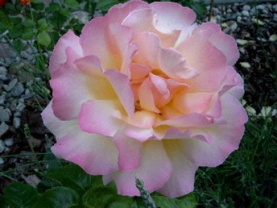 Bild3181.jpg