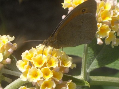 IMGP0484_Bildgröße ändern.JPG