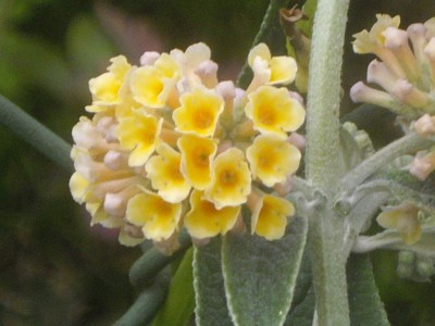 IMGP0481_Bildgröße ändern.JPG