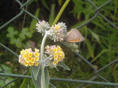 IMGP0480_Bildgröße ändern.JPG