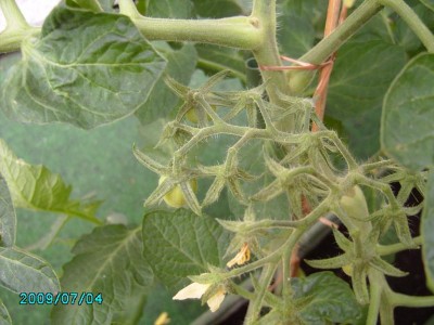 PICT0471.JPG