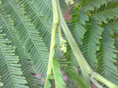 Photo neu 019.jpg