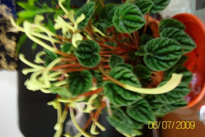 100D1280.JPG