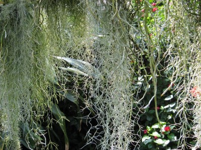 k-IMG_4954.JPG