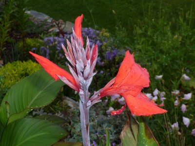 P1010300.JPG
