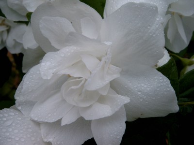 Bild3191.jpg