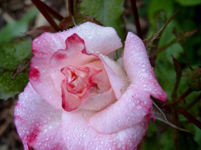 Bild3188.jpg