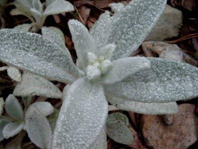 Bild3192.jpg