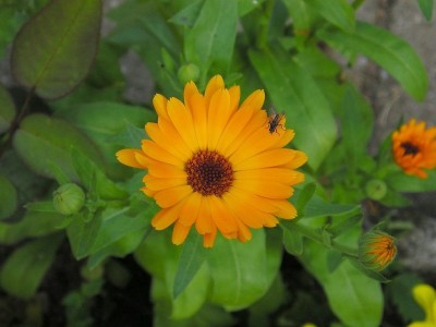 juli_2006_048.jpg