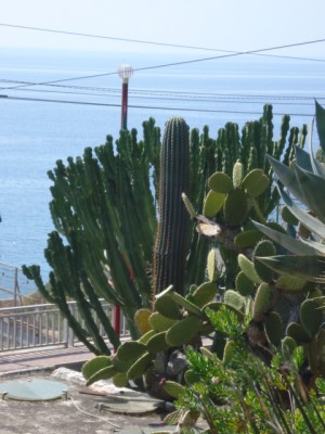 Sommerurlaub 2009 in San Remo 134.jpg