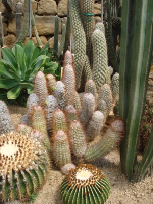 Sommerurlaub 2009 in San Remo 183.jpg