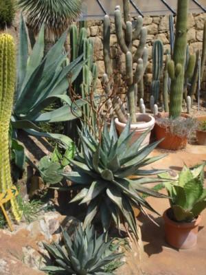 Sommerurlaub 2009 in San Remo 175.jpg