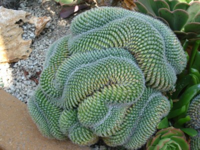 Sommerurlaub 2009 in San Remo 197.jpg