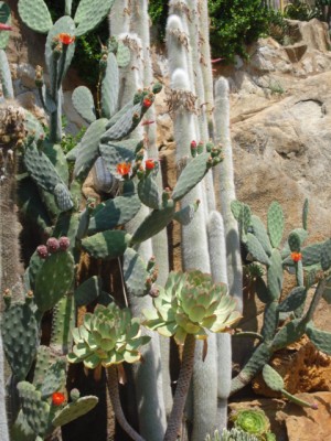 Sommerurlaub 2009 in San Remo 195.jpg