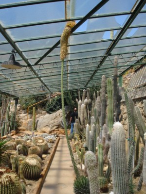 Sommerurlaub 2009 in San Remo 228.jpg