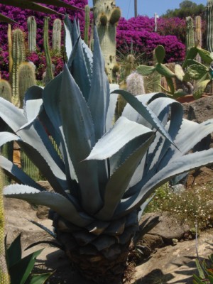Sommerurlaub 2009 in San Remo 270.jpg