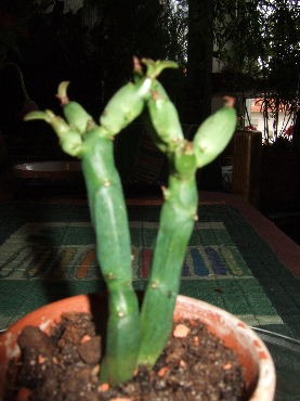 DSCF8548.JPG