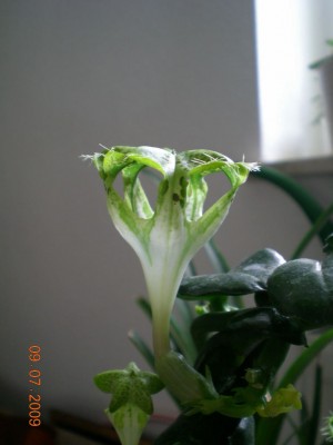 DSCN49480001.JPG