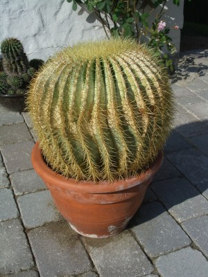 04.06.07-004.jpg