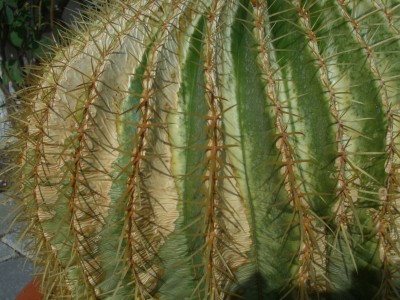 04.06.07-001.jpg