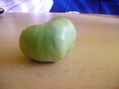 Apfel_02.jpg