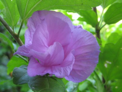 IMG_7160.JPG