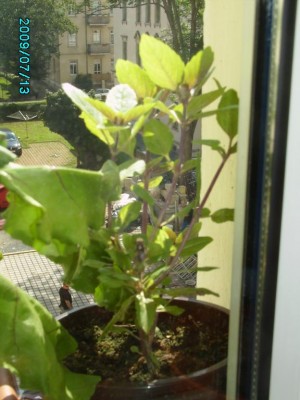 PICT0515.JPG