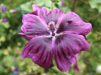 DSCF3876.JPG
