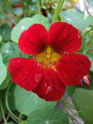 DSCF3850.JPG