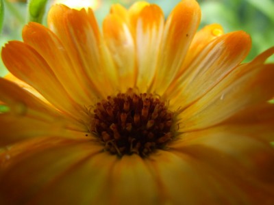 DSCF3828.JPG