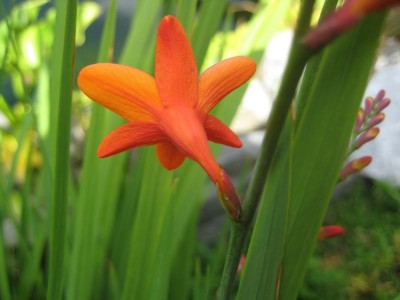 IMG_7185.JPG