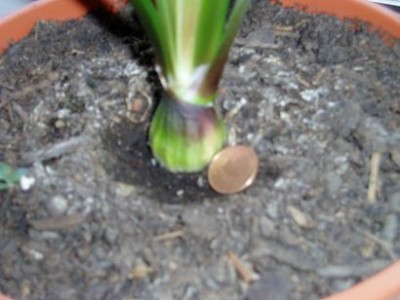 P1010009.JPG