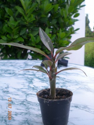 DSCN49960001.JPG