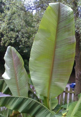 moto_0211a.jpg