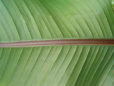 HPIM6037.JPG