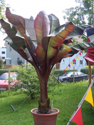 100_8361.jpg