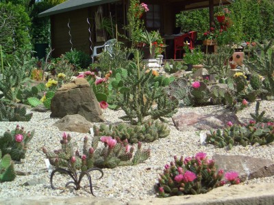 Malter  vom  5.6.09 - 14.7.09 136.jpg