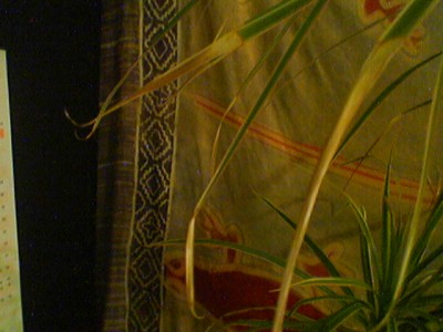 090714_214151.jpg
