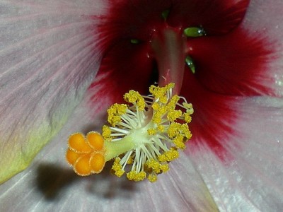RSCN50160001.JPG