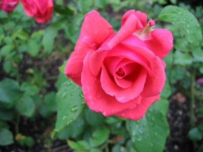 IMG_6927.JPG