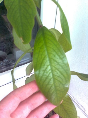 Bild0412.jpg