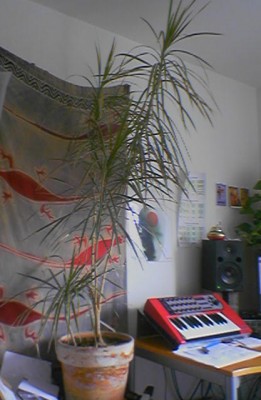 090715_151814.jpg