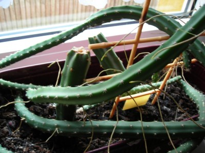 DSCN0240.JPG
