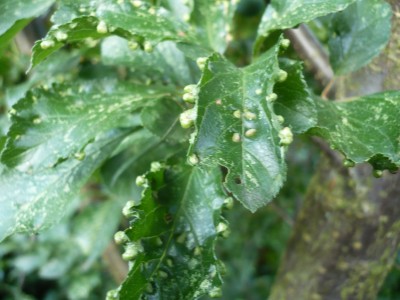 P1020958 [50%].JPG