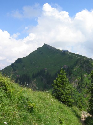 IMG_2602.JPG