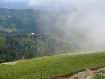 IMG_2576.JPG