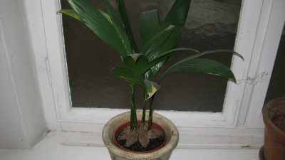 IMG_1911.JPG