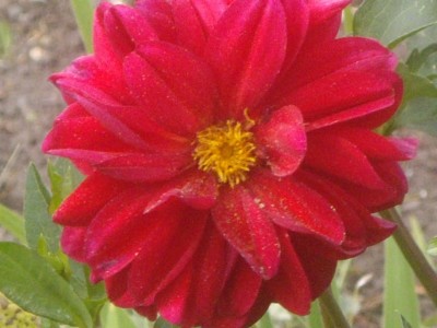 IMGP0497_Bildgröße ändern.JPG